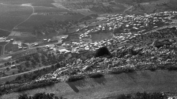 صورة للقرية عام1940