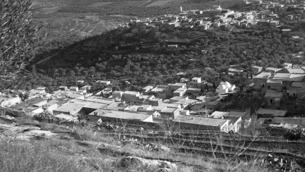 القرية عام 1950