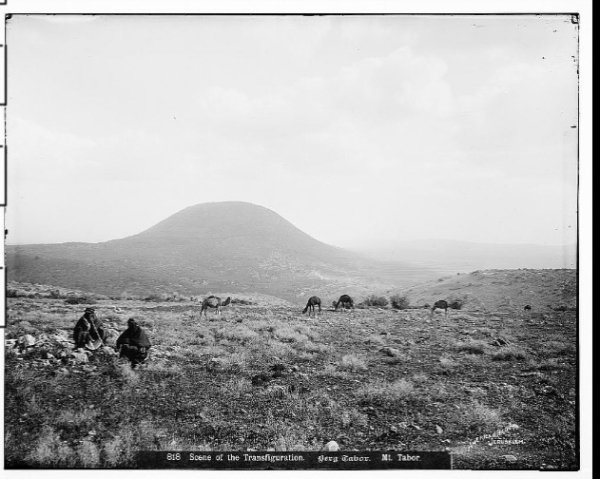 أراضي القرية