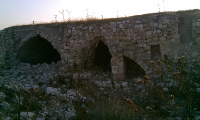 شفيَّا/ قرى الروحة  | موسوعة القرى الفلسطينية