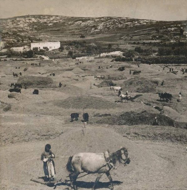 أراضي القرية