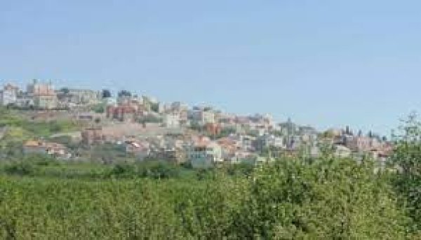 صورة عامة للقرية