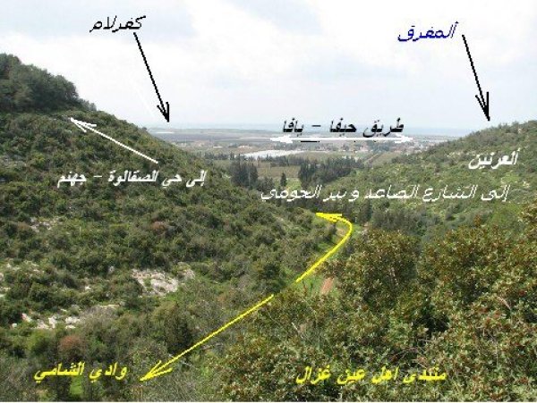 قرية عين غزال