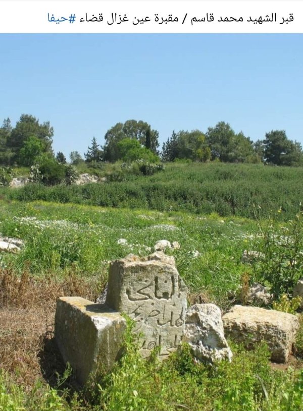 قرية عين غزال