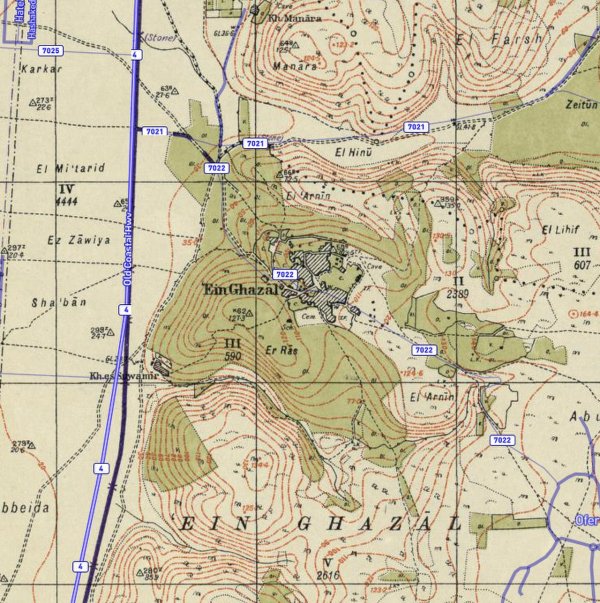 قرية عين غزال