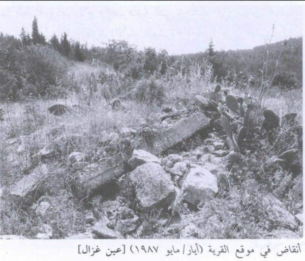 قرية عين غزال