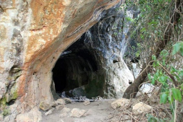 قرية عين غزال