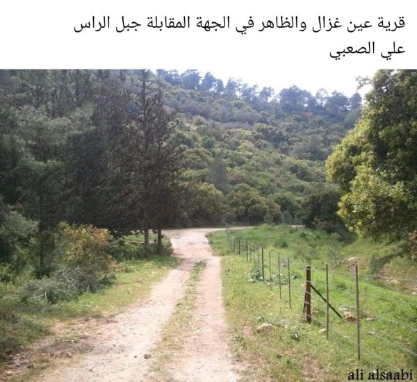 قرية عين غزال