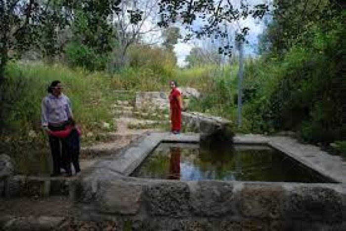 عين غزال / قرى جبل الكرمل  | موسوعة القرى الفلسطينية