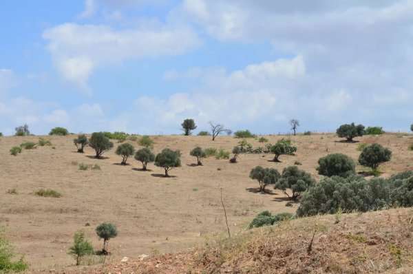  | موسوعة القرى الفلسطينية