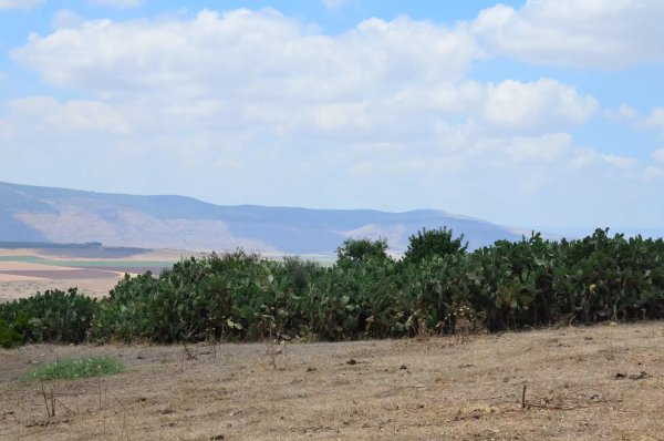 أراضي القرية