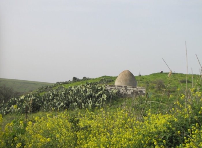 دَنَّة  | موسوعة القرى الفلسطينية