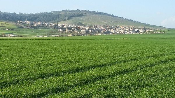  | موسوعة القرى الفلسطينية