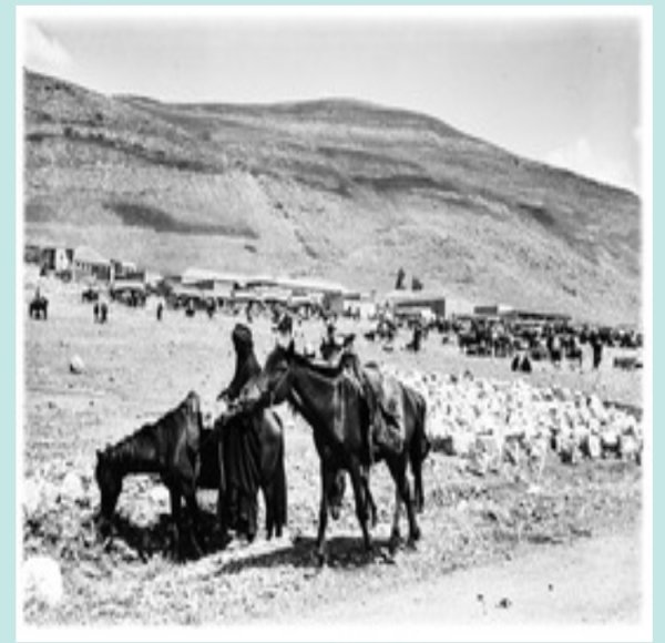  | موسوعة القرى الفلسطينية