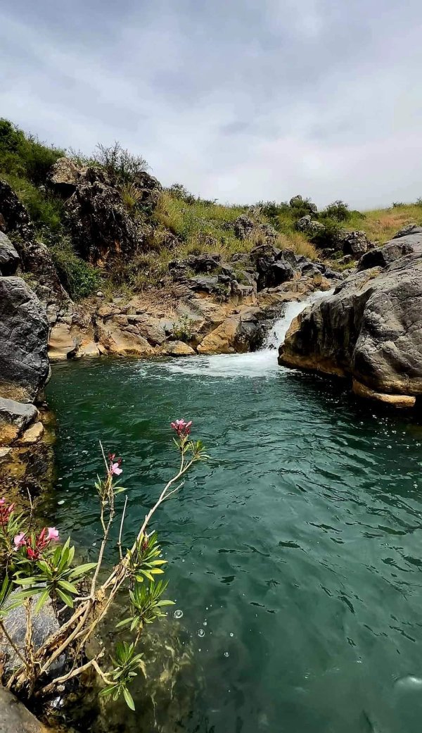  | موسوعة القرى الفلسطينية