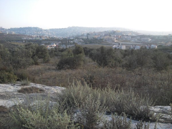  | موسوعة القرى الفلسطينية