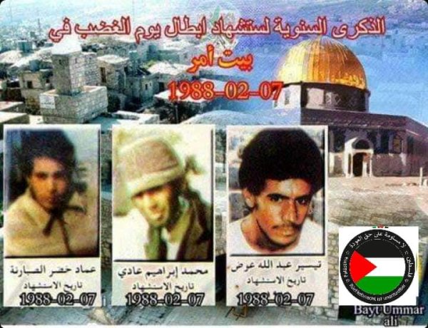 قرية بيت أمر / الخليل