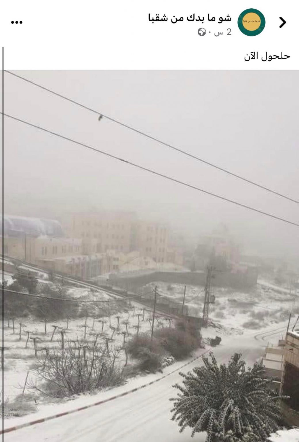 حلحول / فلسطين