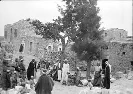 حلحول / فلسطين