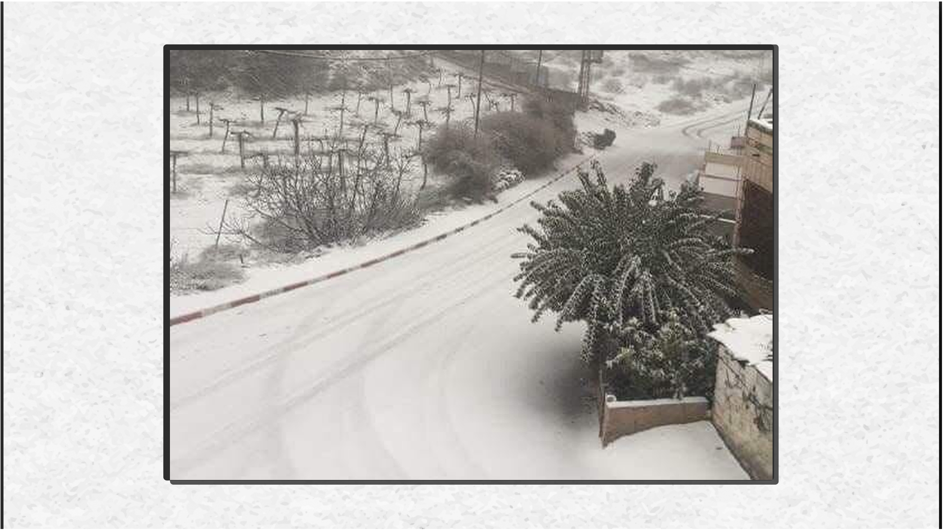 حلحول / فلسطين