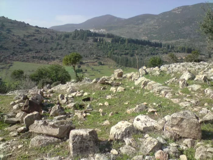 الفَرَّاضِيّْة/فَرَّاضِيّْة / فرّادة  | موسوعة القرى الفلسطينية