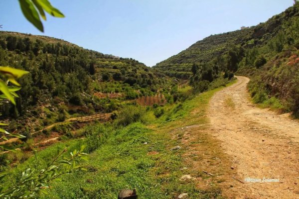  | موسوعة القرى الفلسطينية