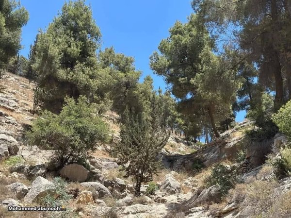  | موسوعة القرى الفلسطينية