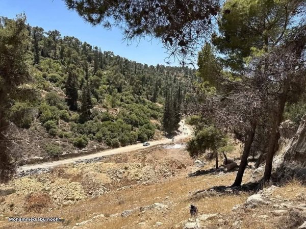  | موسوعة القرى الفلسطينية