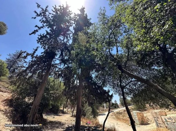  | موسوعة القرى الفلسطينية