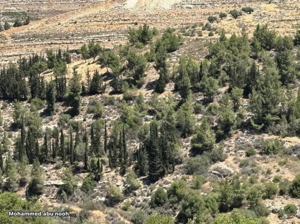  | موسوعة القرى الفلسطينية