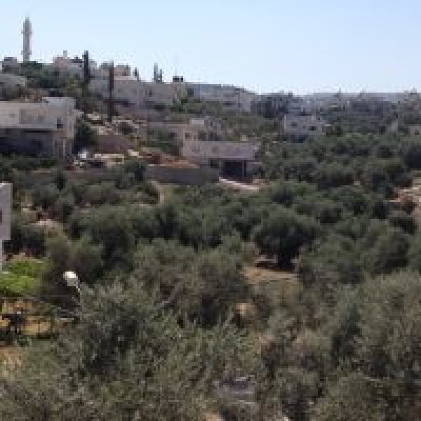  | موسوعة القرى الفلسطينية