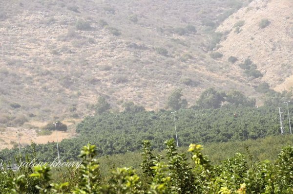  | موسوعة القرى الفلسطينية