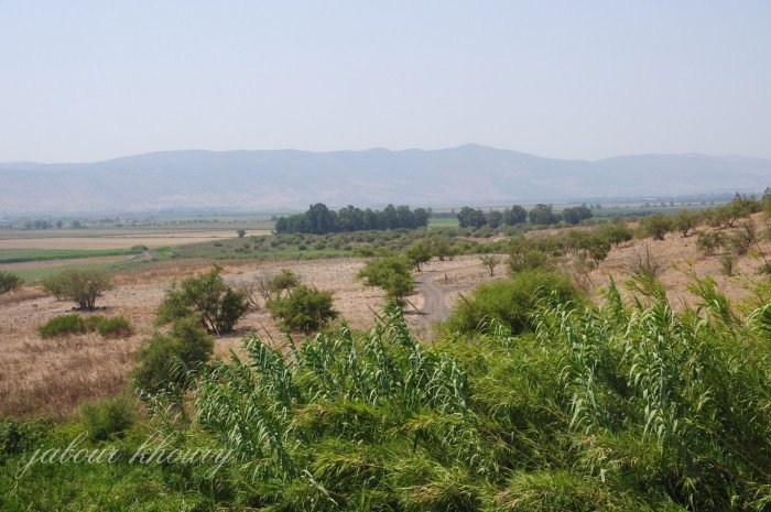 الصَيَّادة/ عرب الصَيَّادة /  قرى المناطق المجردة من السلاح  | موسوعة القرى الفلسطينية