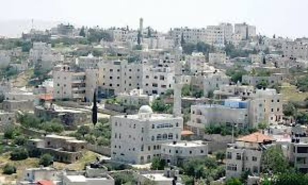 قرية أبو ديس