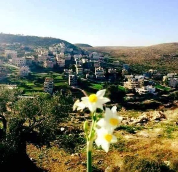  | موسوعة القرى الفلسطينية