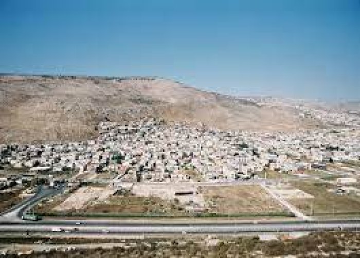 مجد الكروم: من قرى الشاغور / من قرى الجليل الأعلى  | موسوعة القرى الفلسطينية