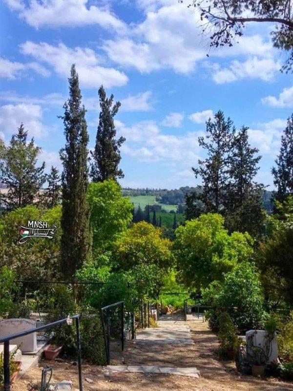  | موسوعة القرى الفلسطينية