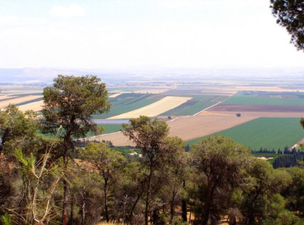 سهل قرية المجيدل المدمرة