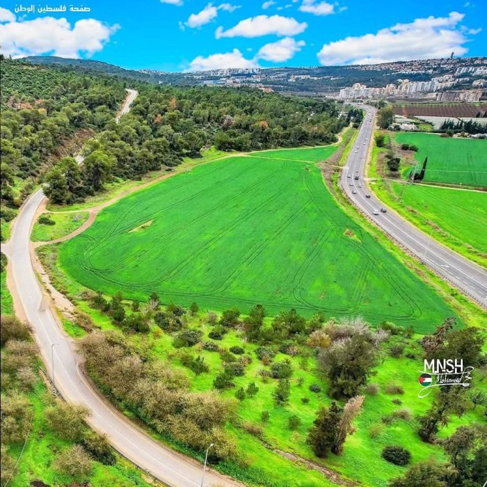 المُجَيْدِل  | موسوعة القرى الفلسطينية