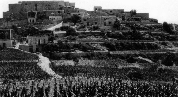 صورة لقرية معليا عام ١٩٣٠