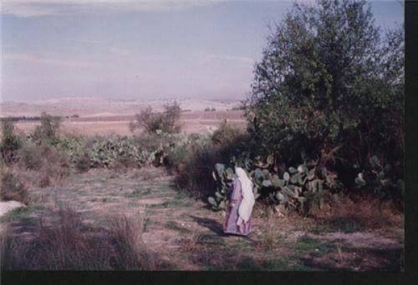  | موسوعة القرى الفلسطينية