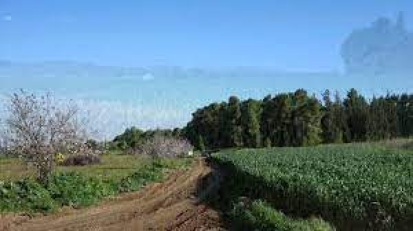  | موسوعة القرى الفلسطينية