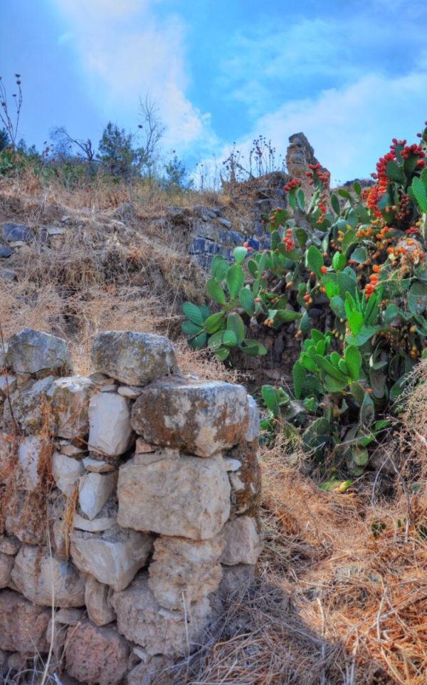 انقاض القرية