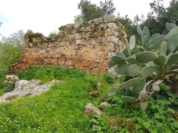 أثار القرية