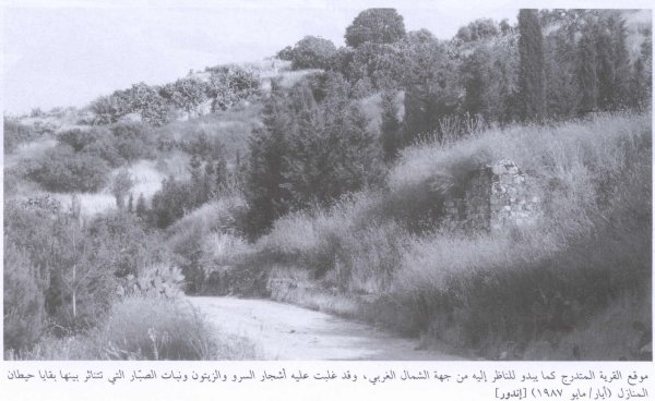 أنقاض القرية