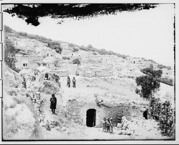 مساكن القرية