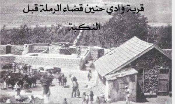 قرية وادي حنين