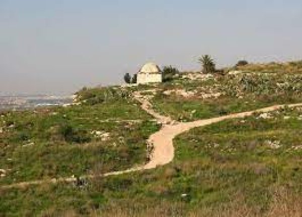  | موسوعة القرى الفلسطينية