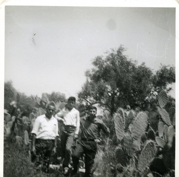 قرية دير طريف