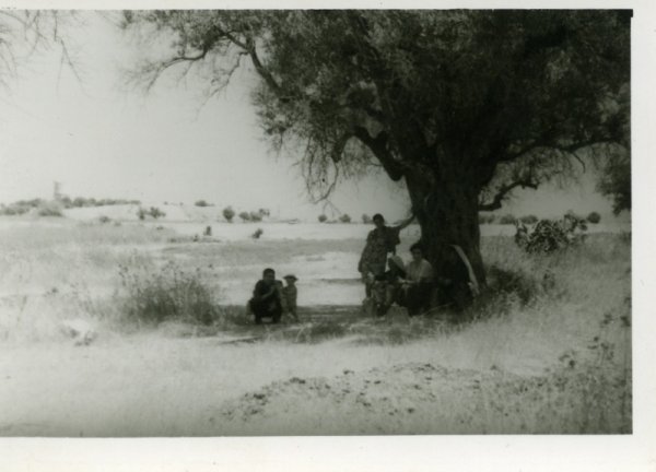 قرية دير طريف